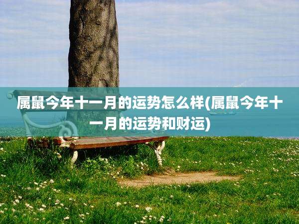 属鼠今年十一月的运势怎么样(属鼠今年十一月的运势和财运)