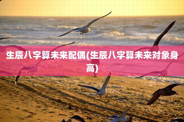 生辰八字算未来配偶(生辰八字算未来对象身高)
