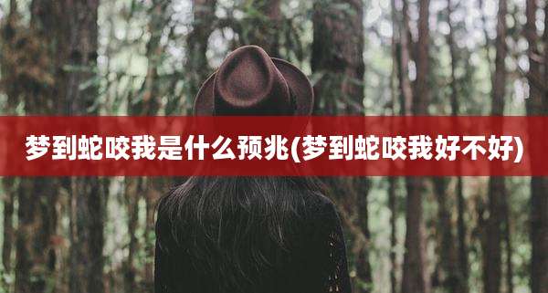 梦到蛇咬我是什么预兆(梦到蛇咬我好不好)