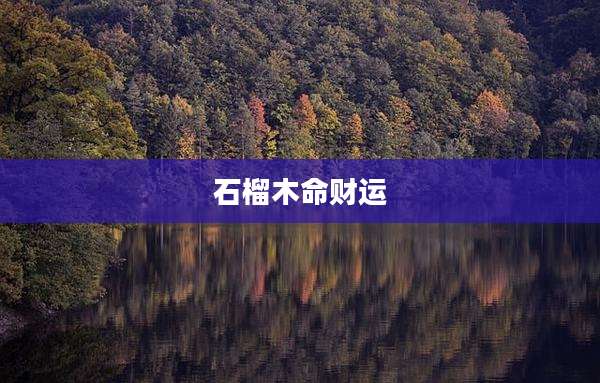 石榴木命财运