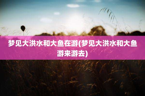梦见大洪水和大鱼在游(梦见大洪水和大鱼游来游去)
