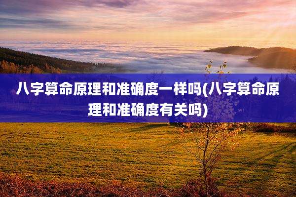 八字算命原理和准确度一样吗(八字算命原理和准确度有关吗)