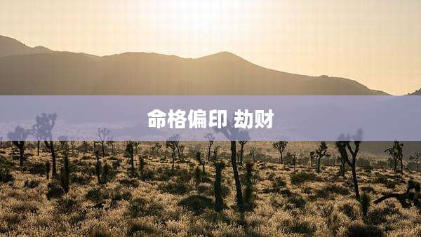 命格偏印 劫财