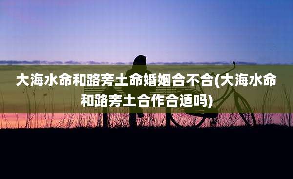 大海水命和路旁土命婚姻合不合(大海水命和路旁土合作合适吗)
