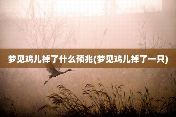 梦见鸡儿掉了什么预兆(梦见鸡儿掉了一只)