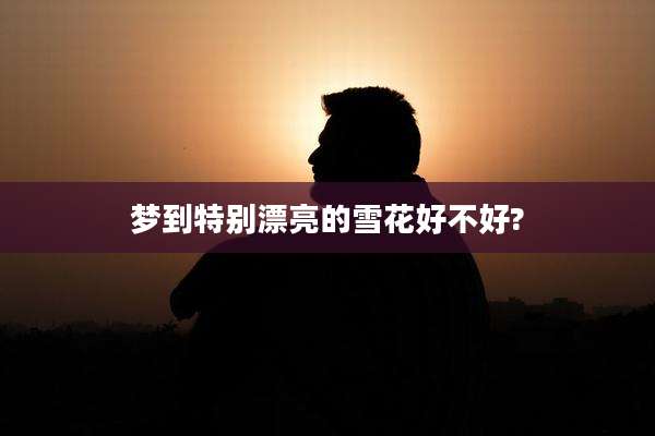 梦到特别漂亮的雪花好不好?