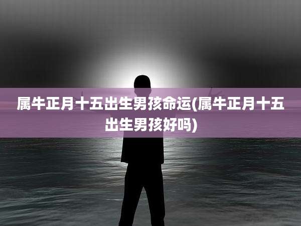 属牛正月十五出生男孩命运(属牛正月十五出生男孩好吗)