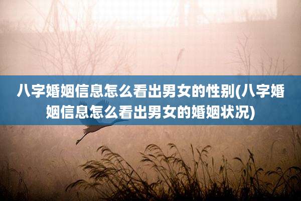 八字婚姻信息怎么看出男女的性别(八字婚姻信息怎么看出男女的婚姻状况)