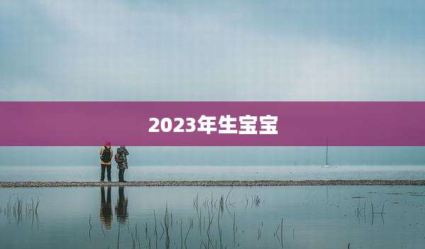 2023年生宝宝