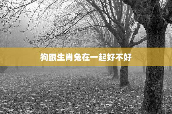 狗跟生肖兔在一起好不好