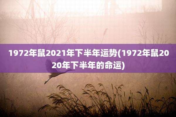 1972年鼠2021年下半年运势(1972年鼠2020年下半年的命运)