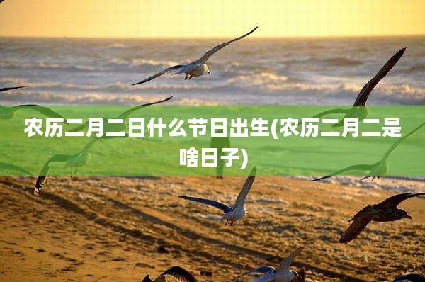 农历二月二日什么节日出生(农历二月二是啥日子)