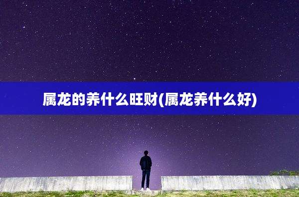 属龙的养什么旺财(属龙养什么好)