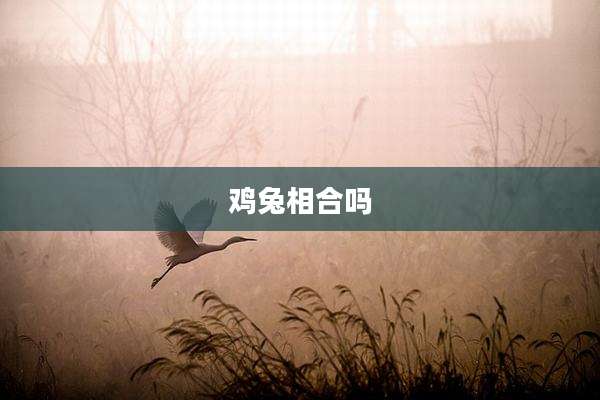 鸡兔相合吗