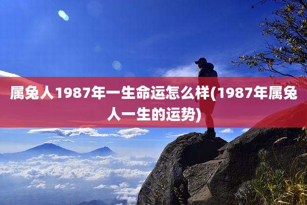属兔人1987年一生命运怎么样(1987年属兔人一生的运势)