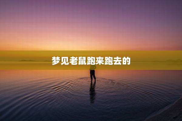 梦见老鼠跑来跑去的