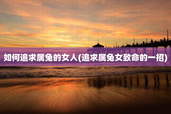 如何追求属兔的女人(追求属兔女致命的一招)