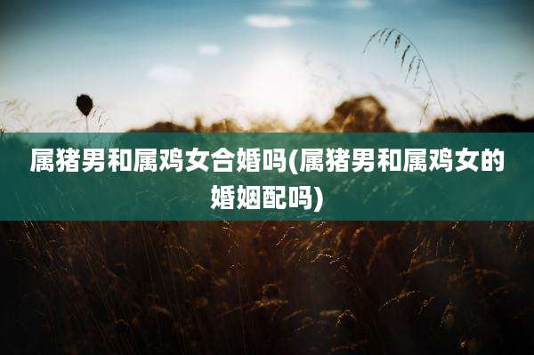 属猪男和属鸡女合婚吗(属猪男和属鸡女的婚姻配吗)