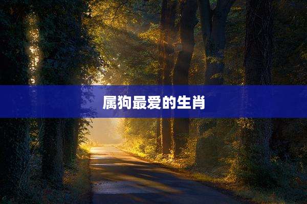 属狗最爱的生肖