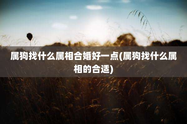 属狗找什么属相合婚好一点(属狗找什么属相的合适)