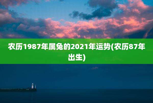 农历1987年属兔的2021年运势(农历87年出生)