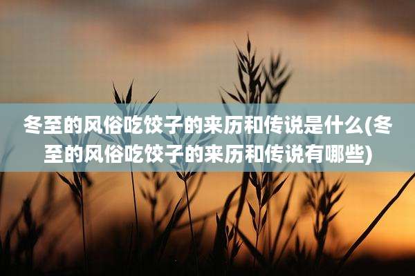 冬至的风俗吃饺子的来历和传说是什么(冬至的风俗吃饺子的来历和传说有哪些)