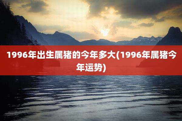 1996年出生属猪的今年多大(1996年属猪今年运势)