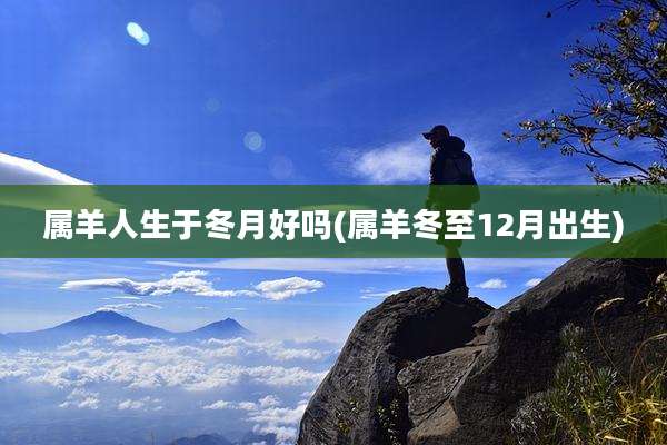属羊人生于冬月好吗(属羊冬至12月出生)