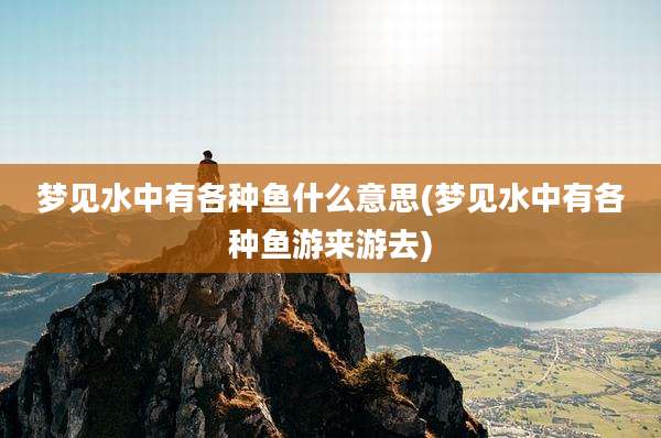 梦见水中有各种鱼什么意思(梦见水中有各种鱼游来游去)