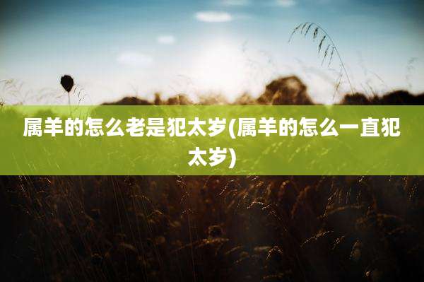 属羊的怎么老是犯太岁(属羊的怎么一直犯太岁)