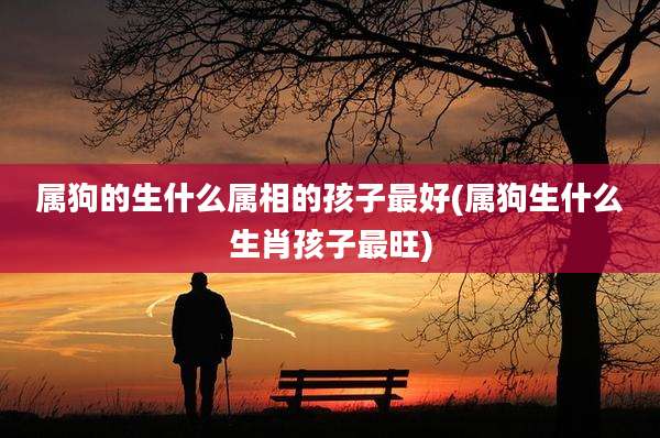 属狗的生什么属相的孩子最好(属狗生什么生肖孩子最旺)