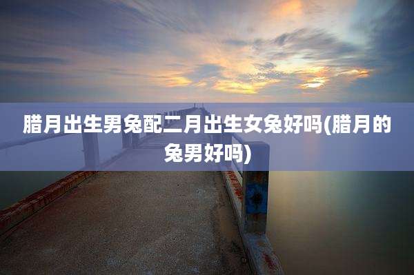 腊月出生男兔配二月出生女兔好吗(腊月的兔男好吗)