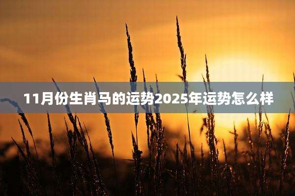 11月份生肖马的运势2025年运势怎么样