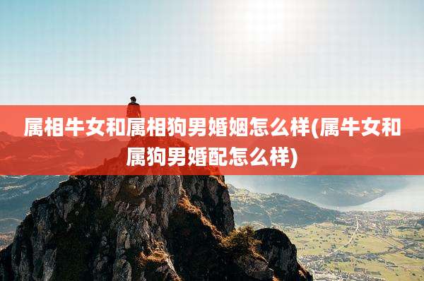 属相牛女和属相狗男婚姻怎么样(属牛女和属狗男婚配怎么样)