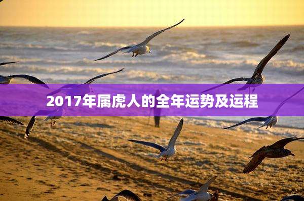 2017年属虎人的全年运势及运程