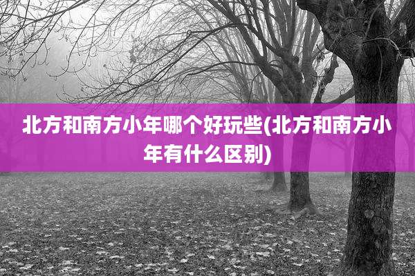 北方和南方小年哪个好玩些(北方和南方小年有什么区别)