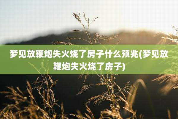 梦见放鞭炮失火烧了房子什么预兆(梦见放鞭炮失火烧了房子)
