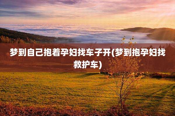 梦到自己抱着孕妇找车子开(梦到抱孕妇找救护车)