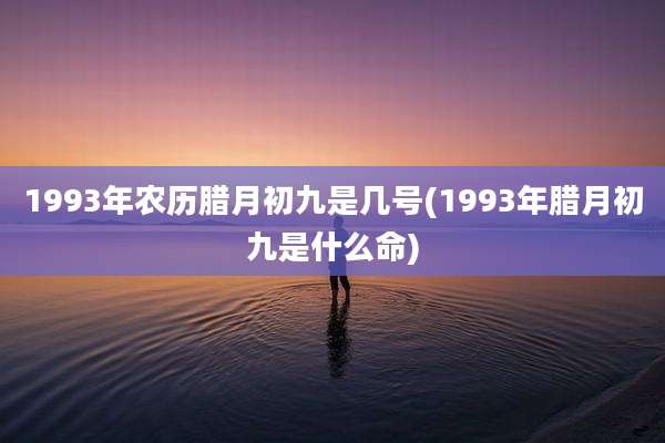 1993年农历腊月初九是几号(1993年腊月初九是什么命)
