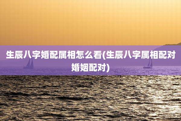生辰八字婚配属相怎么看(生辰八字属相配对婚姻配对)