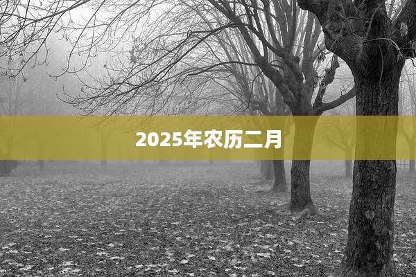 2025年农历二月