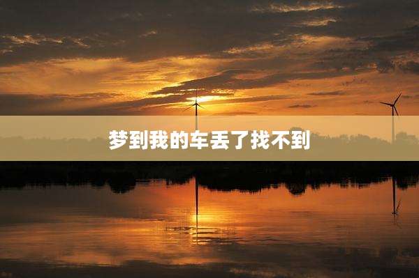 梦到我的车丢了找不到