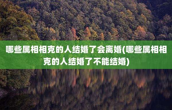 哪些属相相克的人结婚了会离婚(哪些属相相克的人结婚了不能结婚)