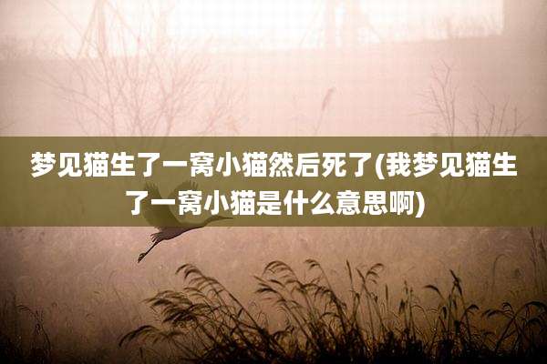 梦见猫生了一窝小猫然后死了(我梦见猫生了一窝小猫是什么意思啊)