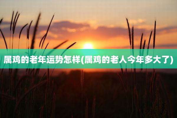 属鸡的老年运势怎样(属鸡的老人今年多大了)