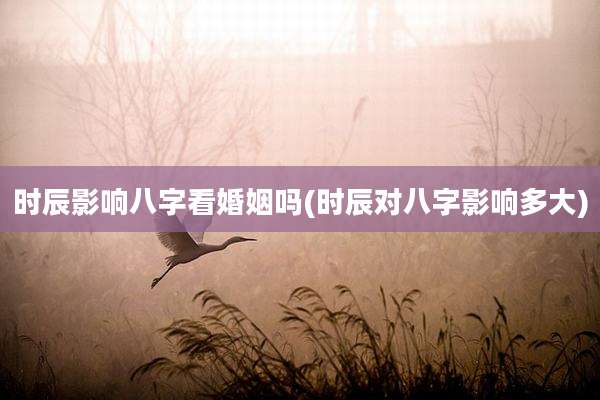 时辰影响八字看婚姻吗(时辰对八字影响多大)