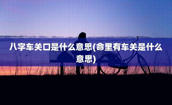 八字车关口是什么意思(命里有车关是什么意思)