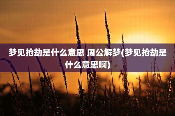 梦见抢劫是什么意思 周公解梦(梦见抢劫是什么意思啊)