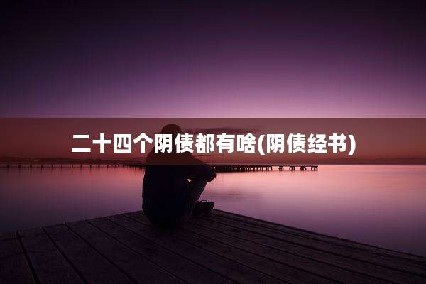 二十四个阴债都有啥(阴债经书)
