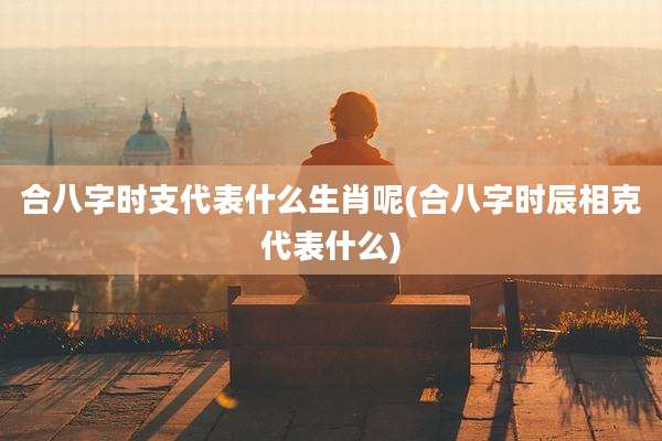 合八字时支代表什么生肖呢(合八字时辰相克代表什么)